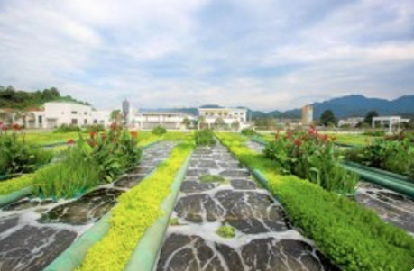 Chengdong Sewage Treatment Plant & Pipe Network